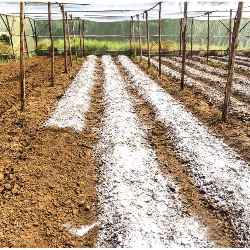 calcario dolomitico 5 kg adubo para plantas e hortas calagem do solo
